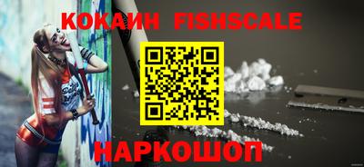 прущие грибы Новозыбков