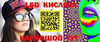 прущие грибы Новозыбков