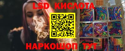 прущие грибы Новозыбков