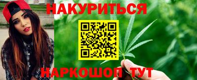 прущие грибы Новозыбков
