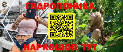 прущие грибы Новозыбков