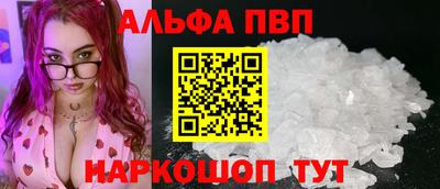 стаф Новодвинск