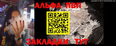 прущие грибы Новозыбков