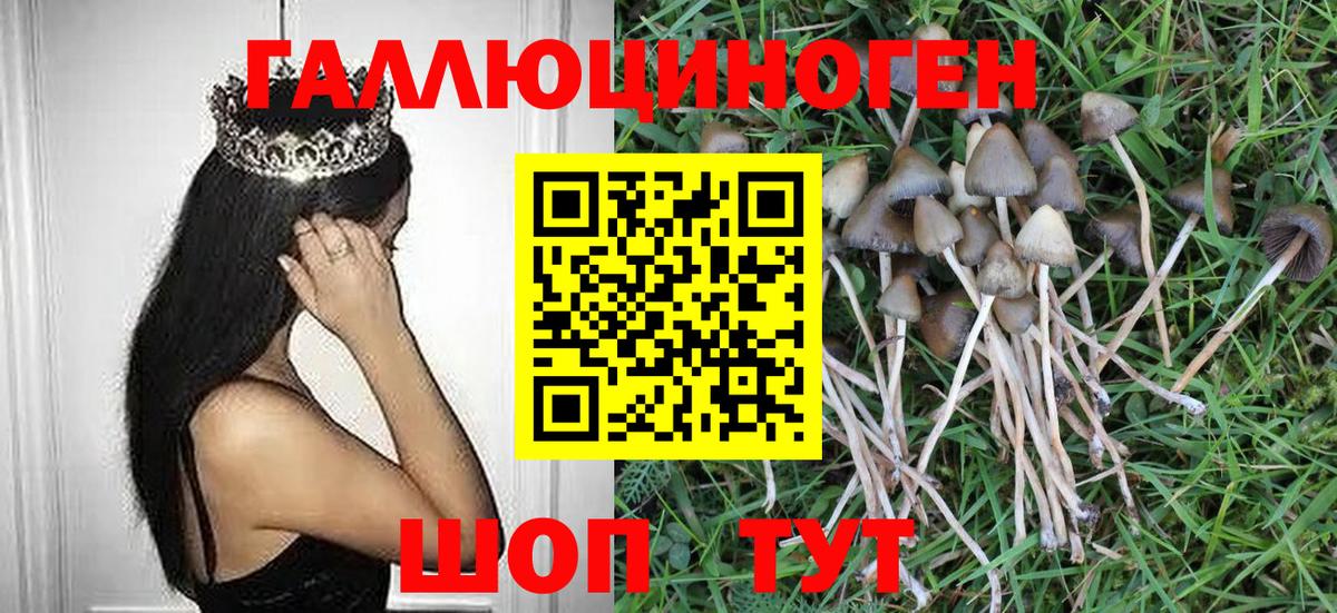 Сосновый Бор  Галлюциногенные грибы Psilocybe  Псилоцибиновые грибы мухоморы  Вход с VPN 