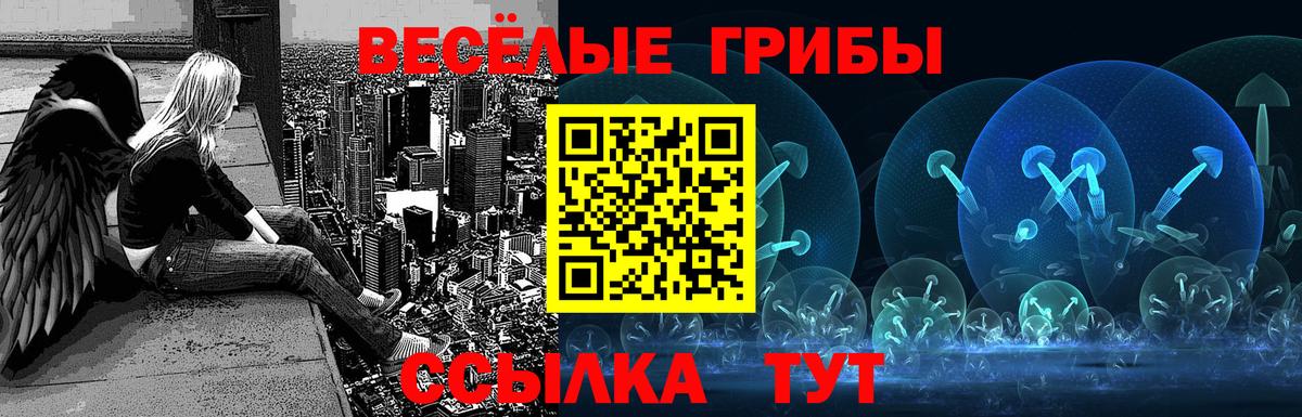 Галлюциногенные грибы Psilocybine cubensis Сосновый Бор